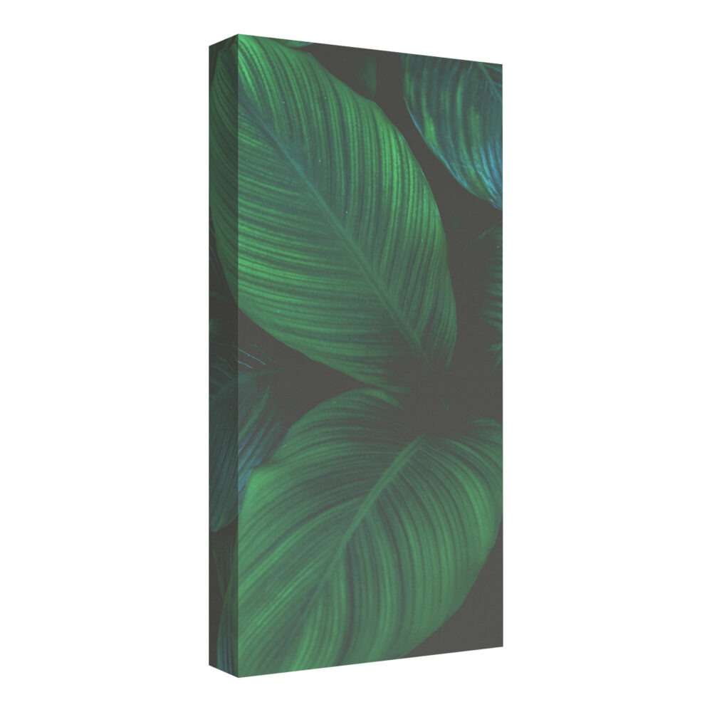 Tableau Acoustique OUTLET - Nature_1, 100 × 50 cm, 11 cm