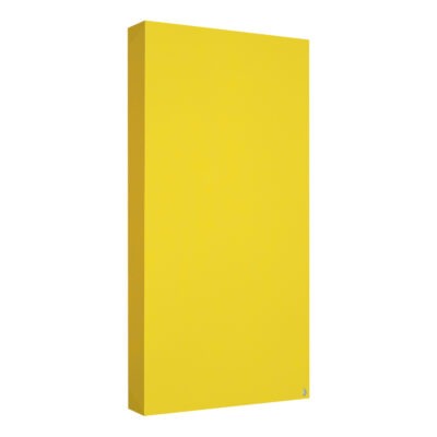 2 x Absorbeur Standard 100x50x11 Jaune