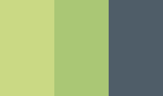 Forest Moss