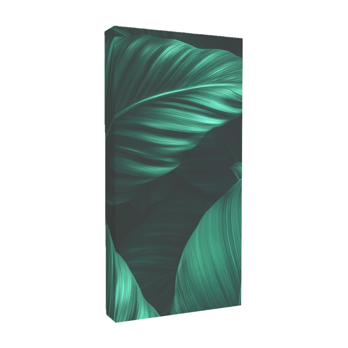 wszystkie_absorbery_sceny_final_plansza_1_grafika_3_dark_jungle_100x50x11_-1