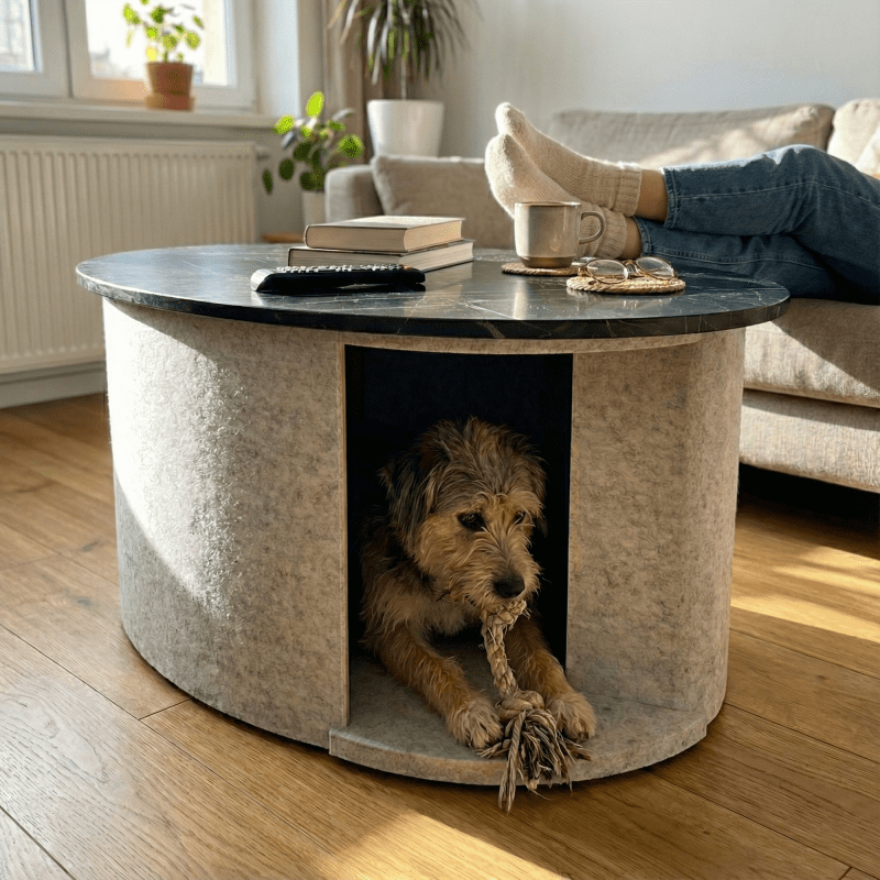 La niche acoustique en table basse près du canapé